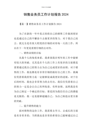 销售业务员工作计划报告2024