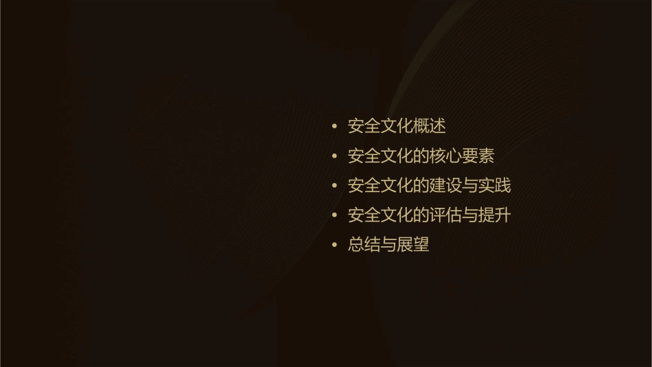 某公司安全文化简介课件_第2页