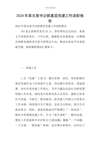 2024年某支部书记抓基层党建工作述职报告