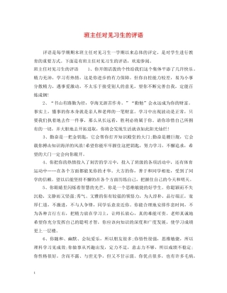 班主任对见习生的评语 