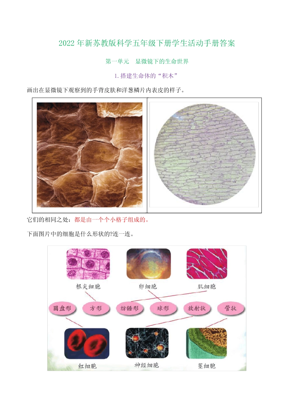 2022年新苏教版科学五年级下册学生活动手册答案(超全) _第1页