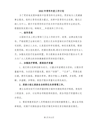 2022年骨科年工作计划