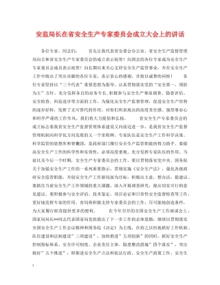 安监局长在省安全生产专家委员会成立大会上的讲话 