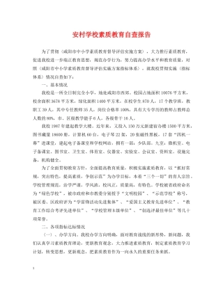 安村学校素质教育自查报告 