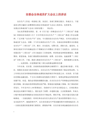 安委会全体成员扩大会议上的讲话 