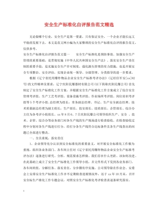 安全生产标准化自评报告范文精选 