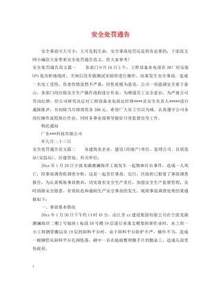 安全处罚通告 