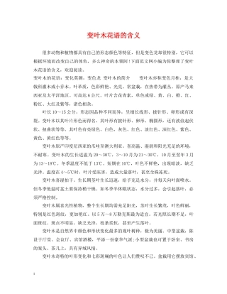 变叶木花语的含义 