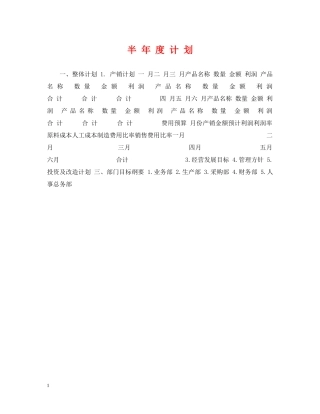 半 年 度 计 划 