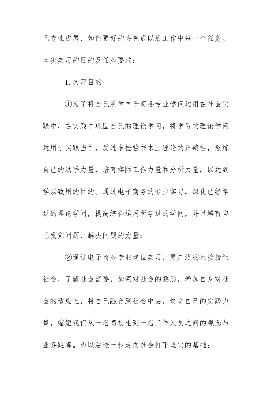 电商运营顶岗实习报告三篇_第3页