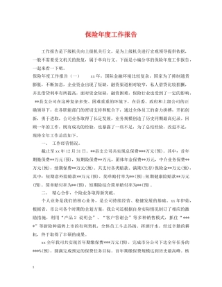 保险年度工作报告