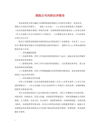 保险公司内控自评报告