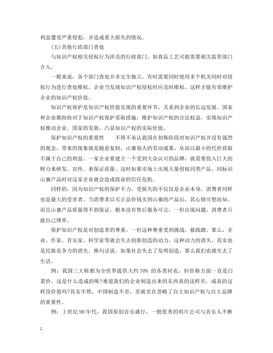保护知识产权保护措施_第2页