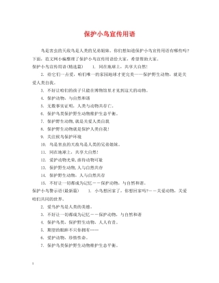 保护小鸟宣传用语