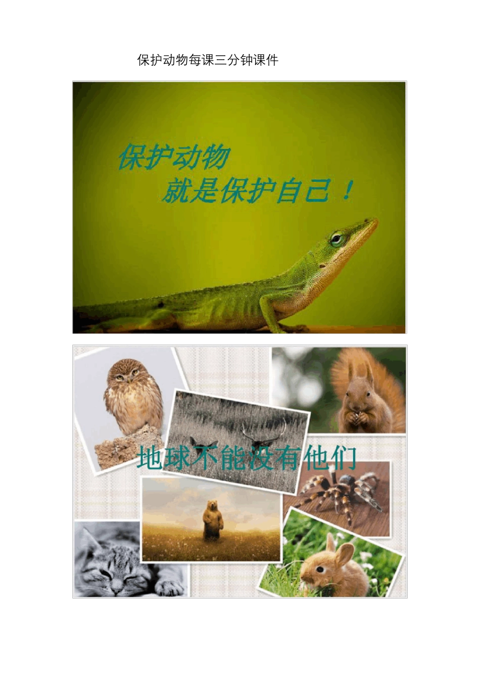 保护动物每课三分钟课件_第1页