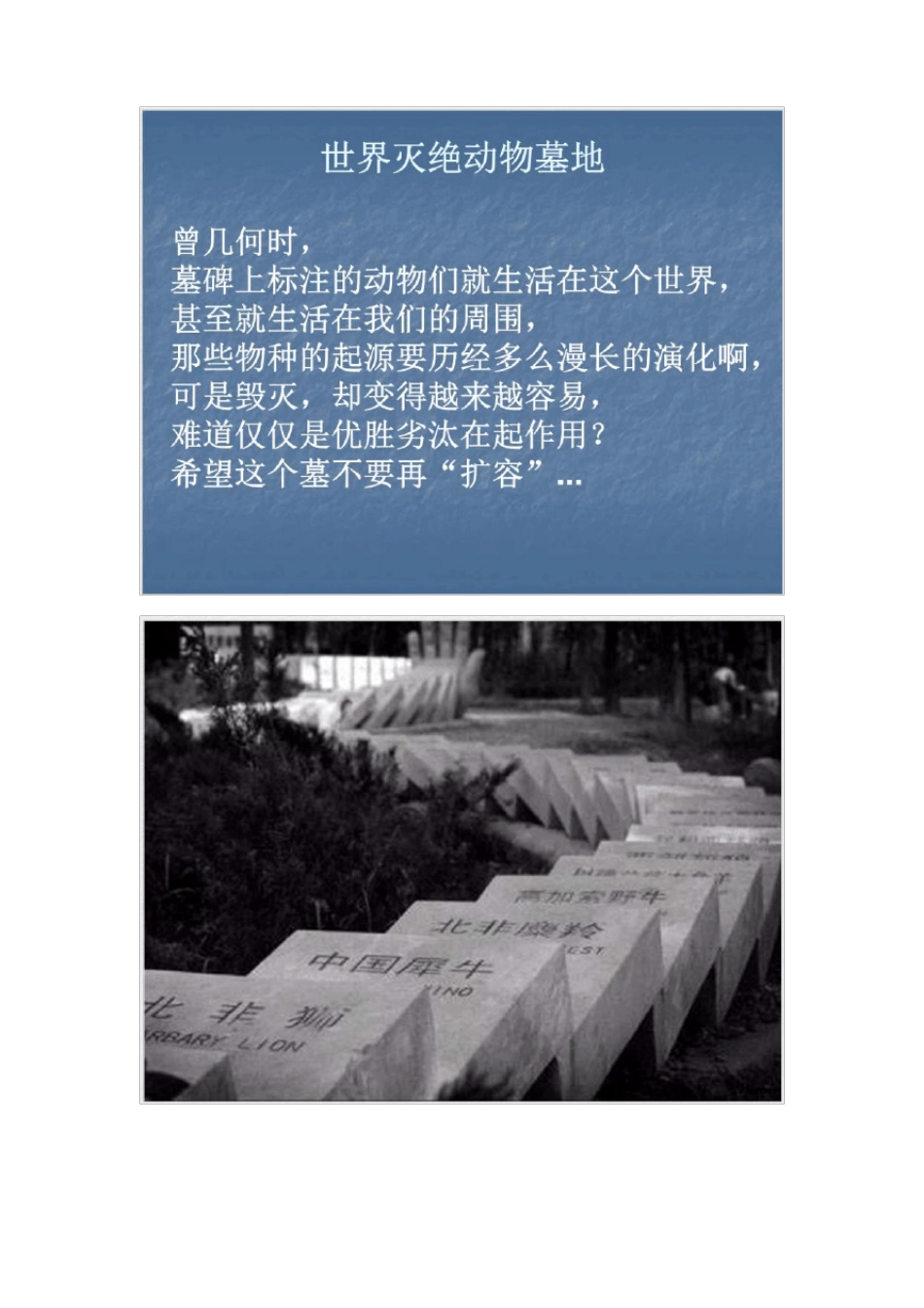 保护动物每课三分钟课件_第2页