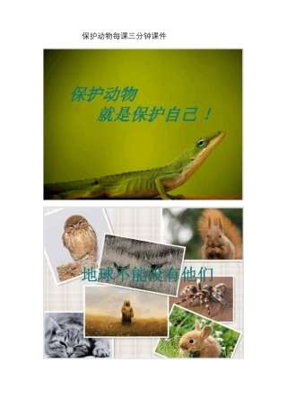 保护动物每课三分钟课件