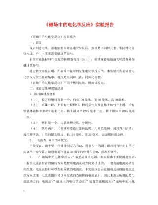《磁场中的电化学反应》实验报告