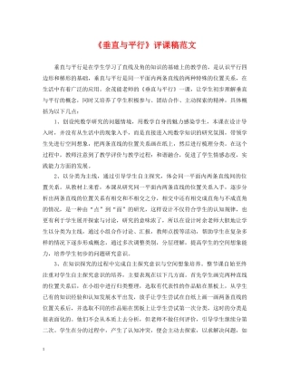 《垂直与平行》评课稿范文