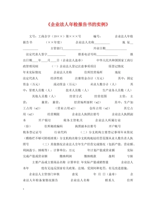 《企业法人年检报告书的实例》