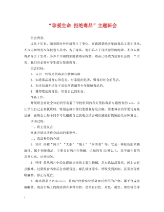 “珍爱生命 拒绝毒品”主题班会