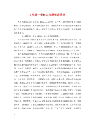 x局第一责任人问题整改情况