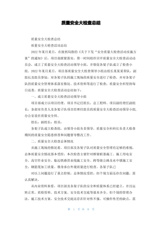 质量安全大检查总结