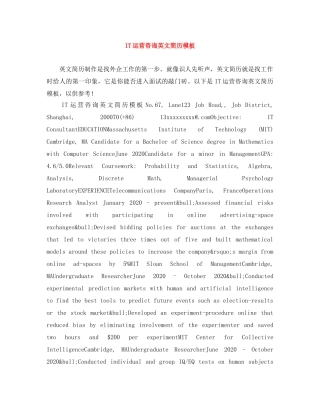 IT运营咨询英文简历模板