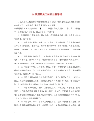 it试用期员工转正自我评语