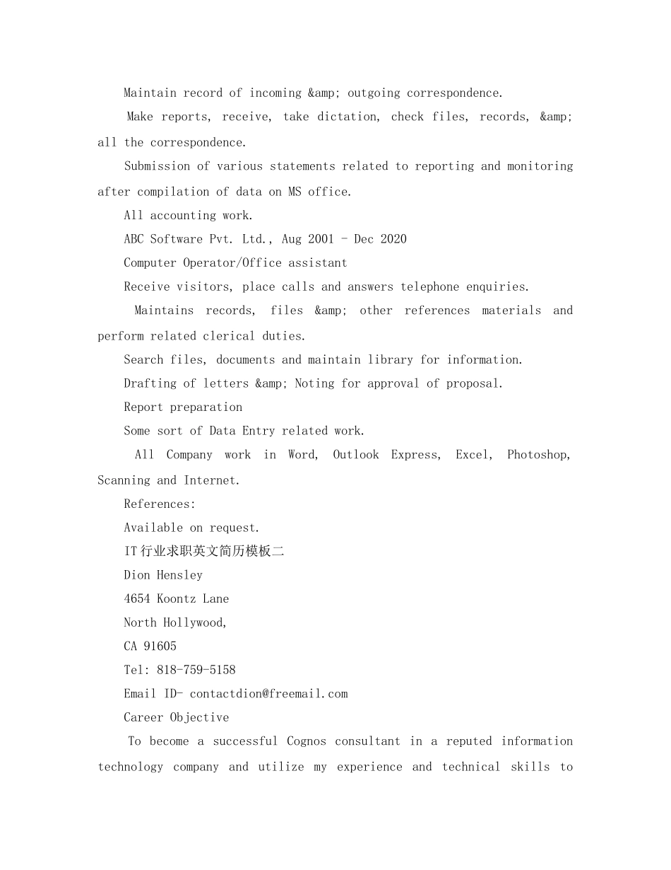 IT行业求职英文简历模板_第2页