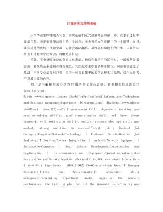 IT服务英文简历表格