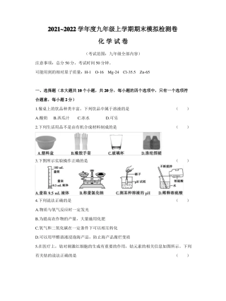20212022学年人教部编版九年级上学期期末模拟检测卷-化学试卷