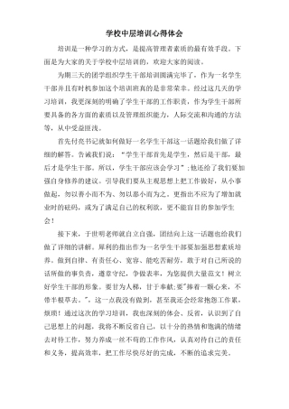 学校中层培训心得体会