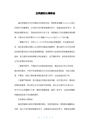 正风肃纪心得体会