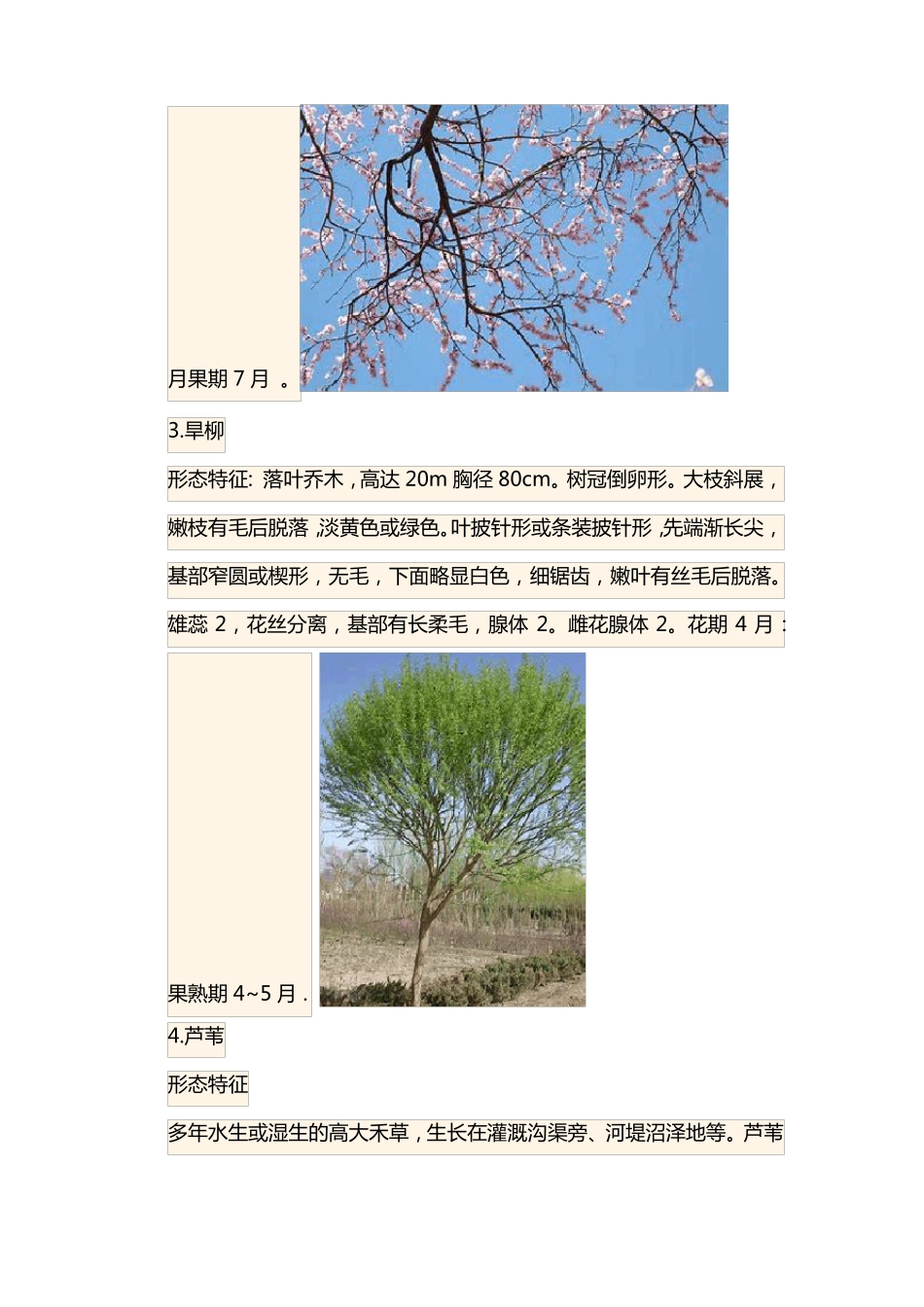十种常见的动植物图文并茂的介绍_第2页