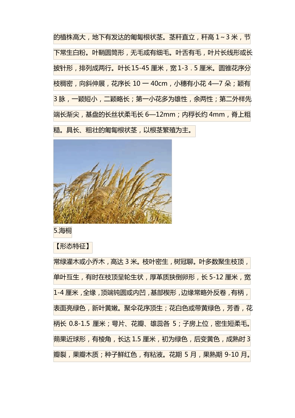 十种常见的动植物图文并茂的介绍_第3页