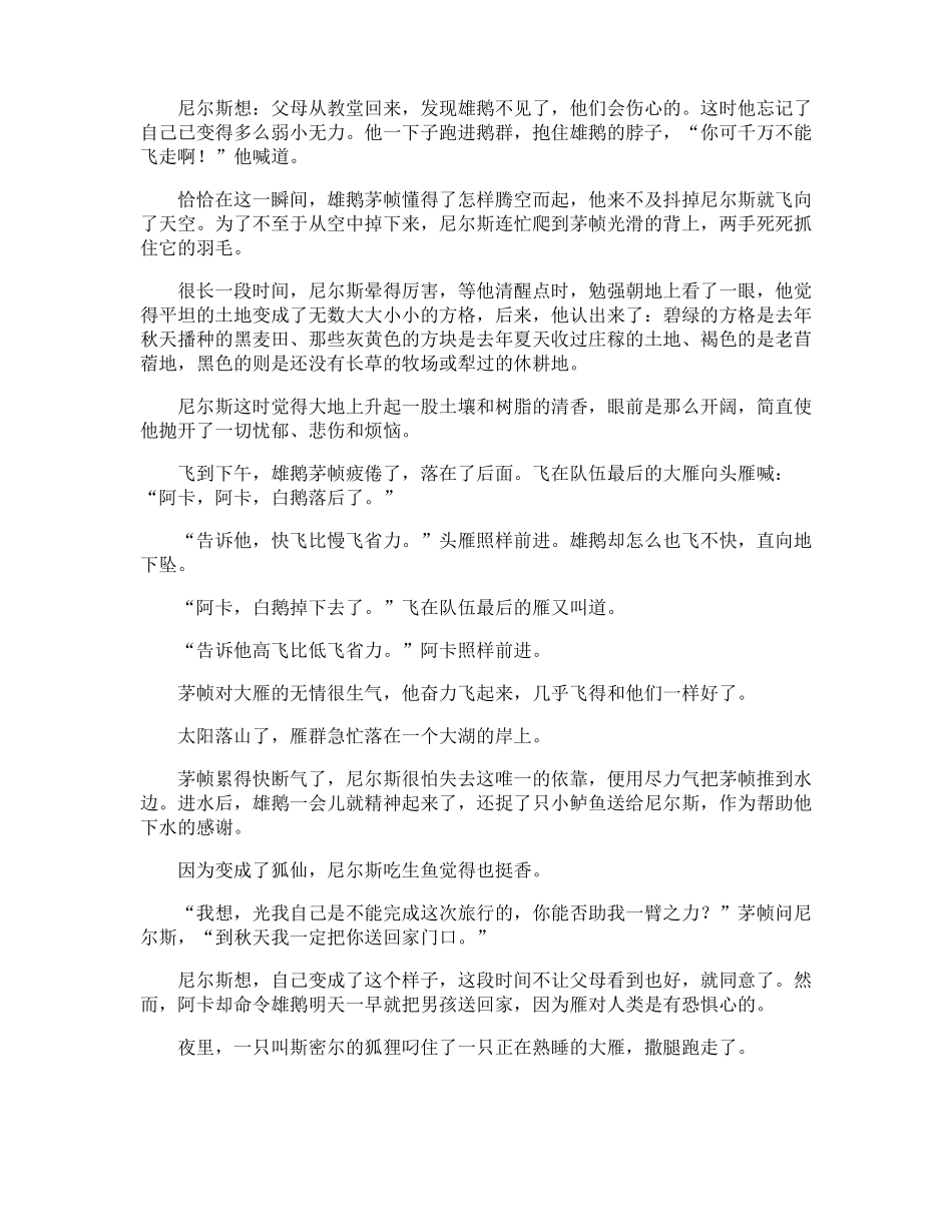 骑鹅旅行记的童话故事_第2页