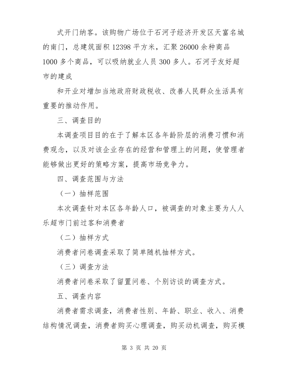 超场调研报告模板_第3页
