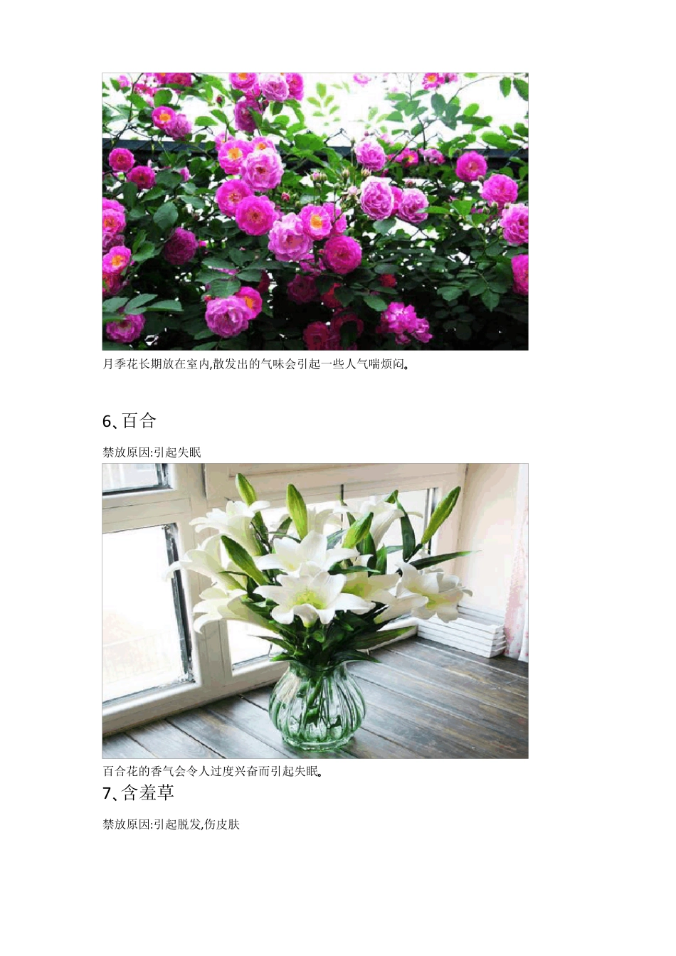 室内不宜摆放的花卉_第3页