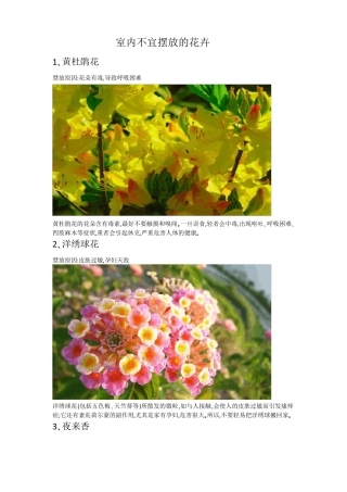 室内不宜摆放的花卉