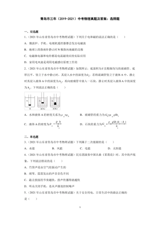 青岛三年2019-2021中考物理真题及答案选择题