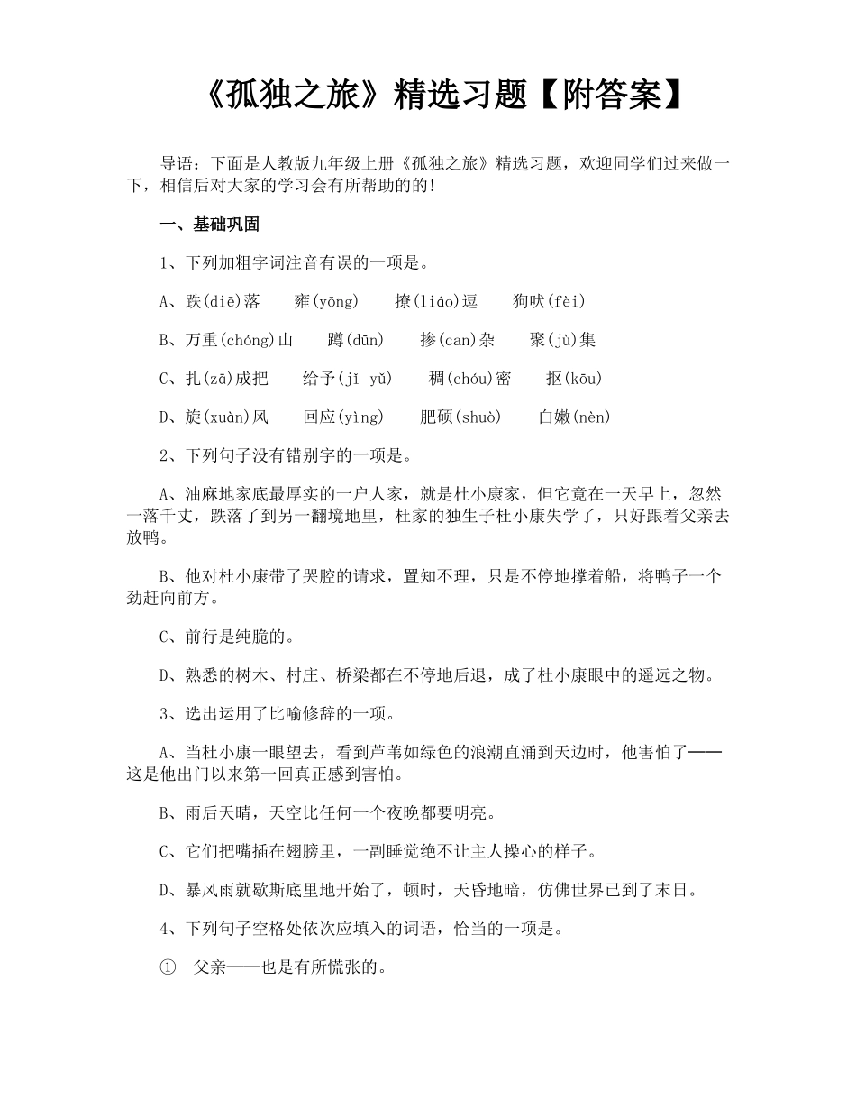 孤独之旅精选习题附答案_第1页