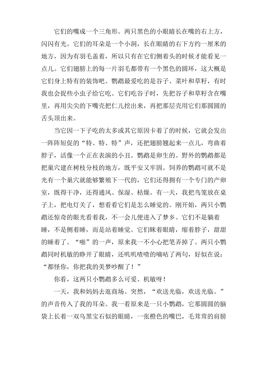 介绍鹦鹉的作文范文_第2页