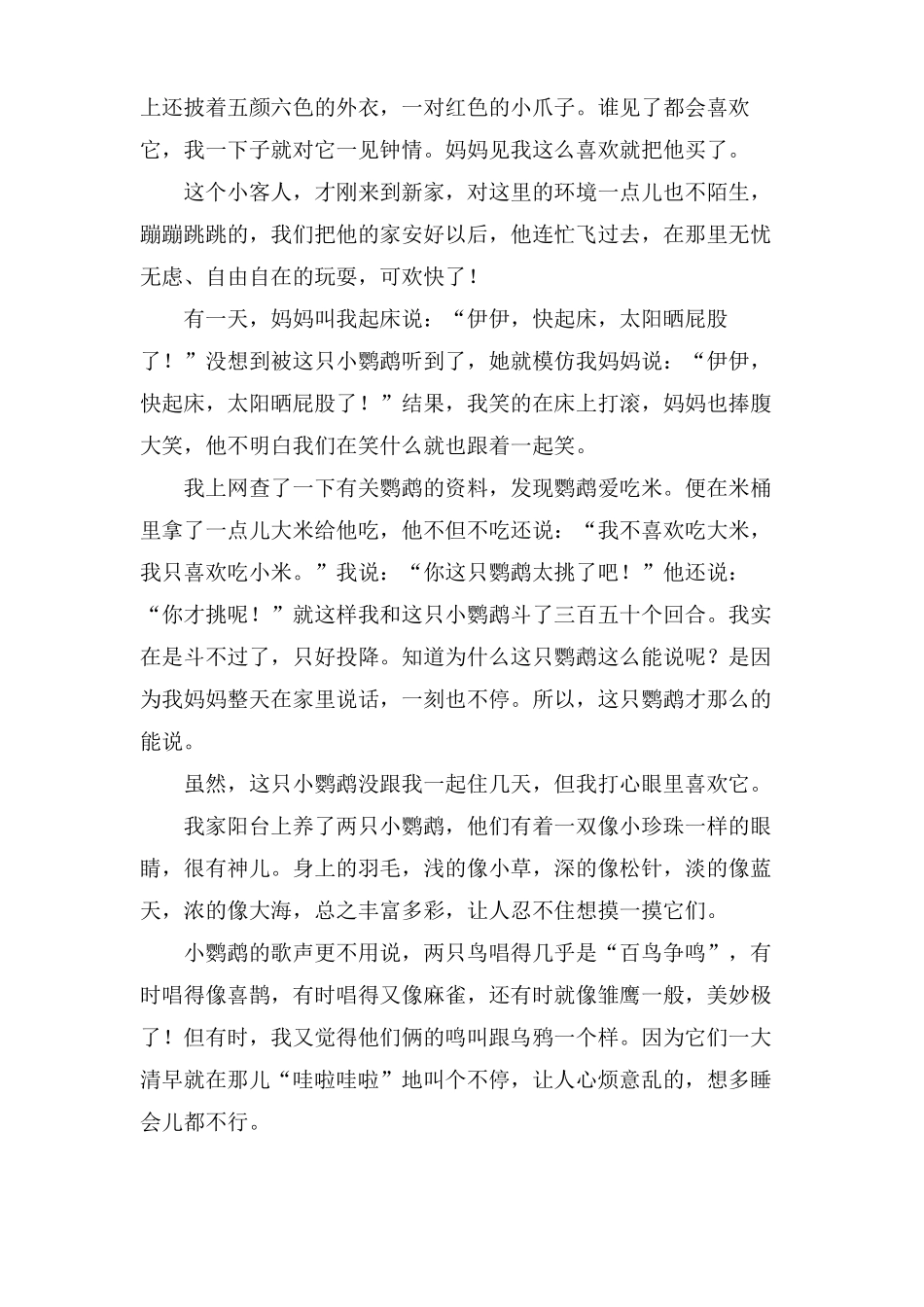 介绍鹦鹉的作文范文_第3页