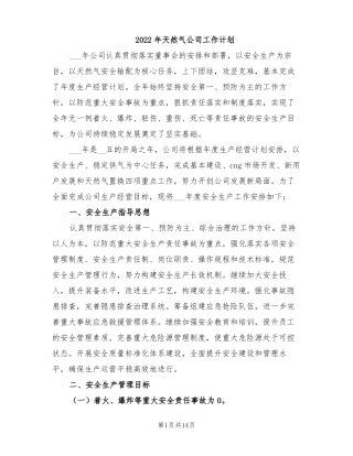 2022年天然气公司工作计划