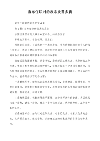宣布任职时的表态发言多篇