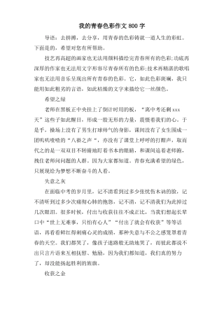 我的青春色彩作文800字