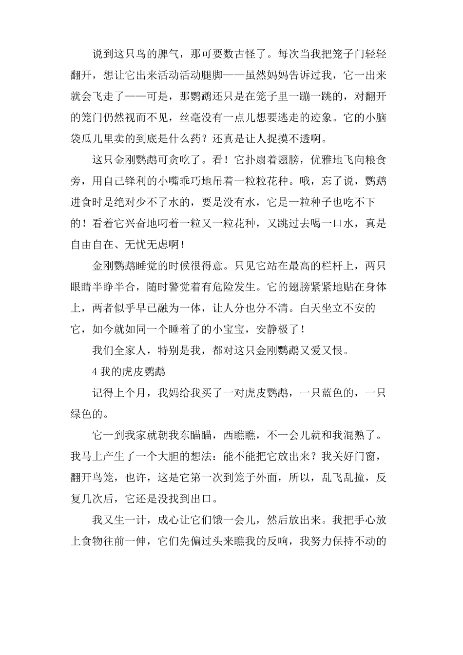 小学描写鹦鹉作文范文8篇_第3页