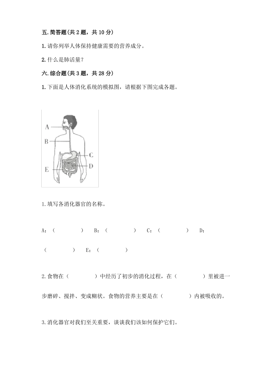 教科版科学四年级上册呼吸和消化测试卷附参考答案考试直接用_第3页