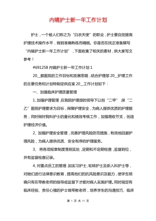内镜护士新一年工作计划